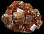 Deep Red Vanadinite Cluster (Extra Large Crystals) #42202-1